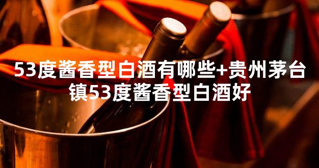 53度酱香型白酒有哪些+贵州茅台镇53度酱香型白酒好