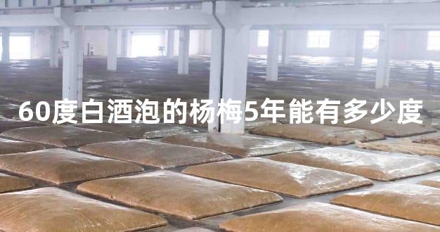 60度白酒泡的杨梅5年能有多少度