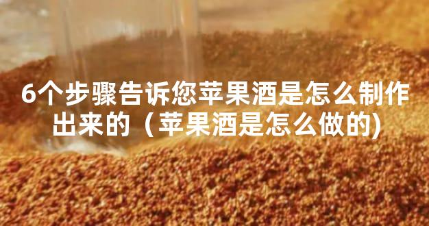 6个步骤告诉您苹果酒是怎么制作出来的（苹果酒是怎么做的)
