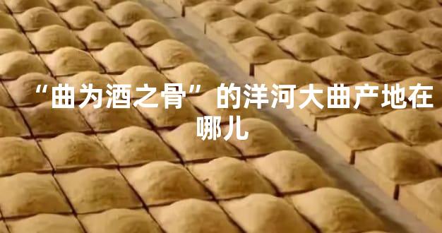 “曲为酒之骨”的洋河大曲产地在哪儿
