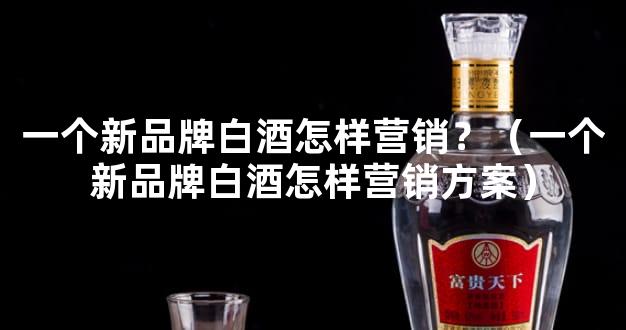 一个新品牌白酒怎样营销？（一个新品牌白酒怎样营销方案）