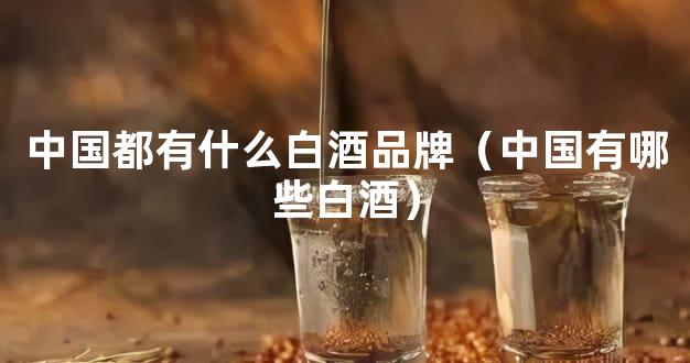 中国都有什么白酒品牌（中国有哪些白酒）