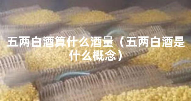 五两白酒算什么酒量（五两白酒是什么概念）