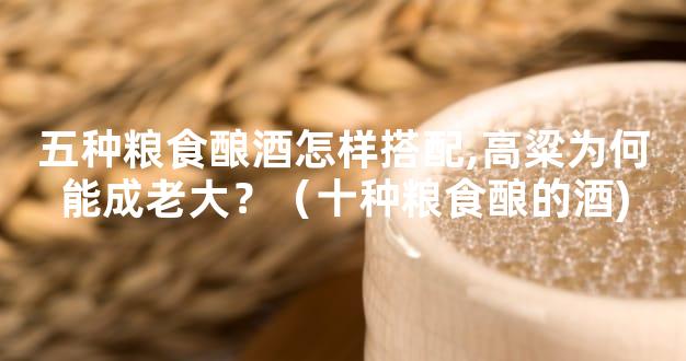 五种粮食酿酒怎样搭配,高粱为何能成老大？（十种粮食酿的酒)