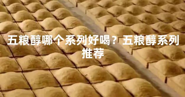 五粮醇哪个系列好喝？五粮醇系列推荐