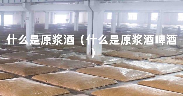 什么是原浆酒（什么是原浆酒啤酒）