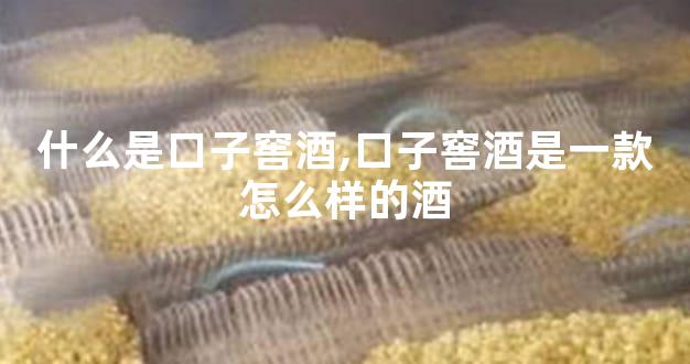 什么是口子窖酒,口子窖酒是一款怎么样的酒