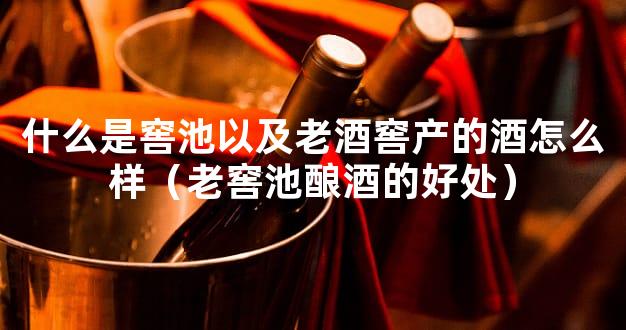 什么是窖池以及老酒窖产的酒怎么样（老窖池酿酒的好处）