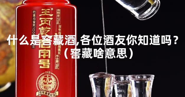 什么是窖藏酒,各位酒友你知道吗？（窖藏啥意思）