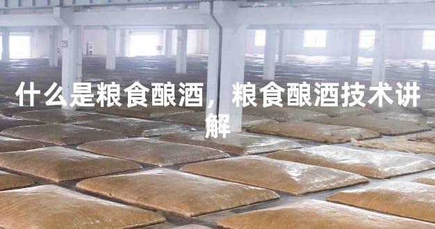什么是粮食酿酒，粮食酿酒技术讲解
