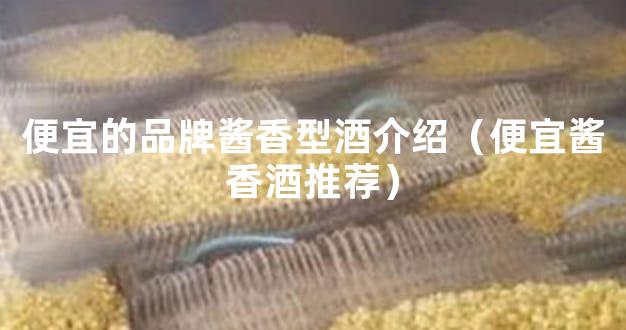 便宜的品牌酱香型酒介绍（便宜酱香酒推荐）