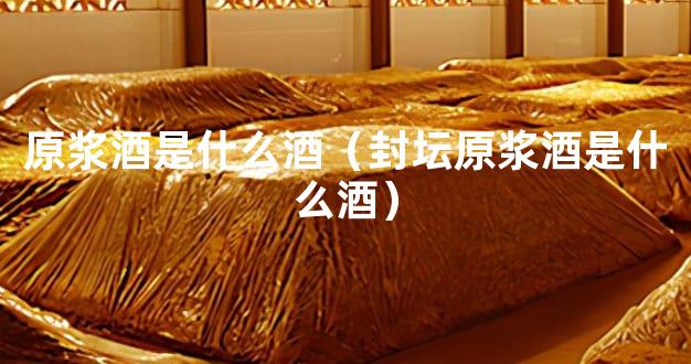 原浆酒是什么酒（封坛原浆酒是什么酒）