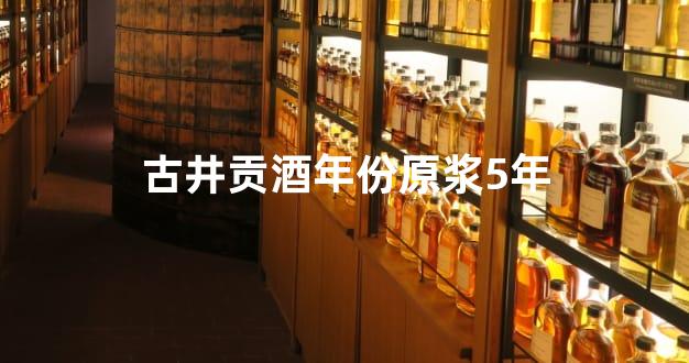 古井贡酒年份原浆5年