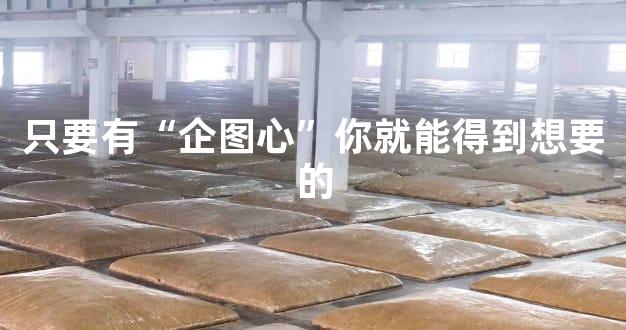 只要有“企图心”你就能得到想要的