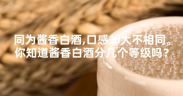 同为酱香白酒,口感却大不相同。你知道酱香白酒分几个等级吗？