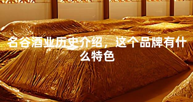 名谷酒业历史介绍，这个品牌有什么特色