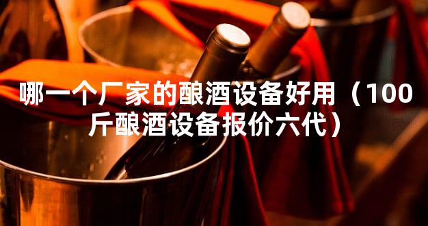 哪一个厂家的酿酒设备好用（100斤酿酒设备报价六代）