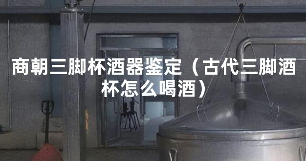商朝三脚杯酒器鉴定（古代三脚酒杯怎么喝酒）
