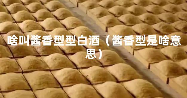 啥叫酱香型型白酒（酱香型是啥意思）
