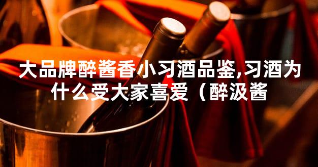 大品牌醉酱香小习酒品鉴,习酒为什么受大家喜爱（醉汲酱