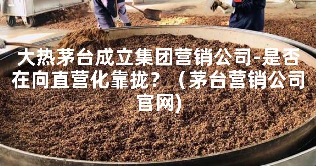 大热茅台成立集团营销公司-是否在向直营化靠拢？（茅台营销公司官网)