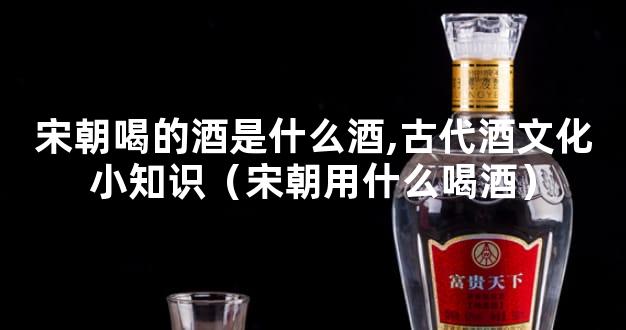 宋朝喝的酒是什么酒,古代酒文化小知识（宋朝用什么喝酒）