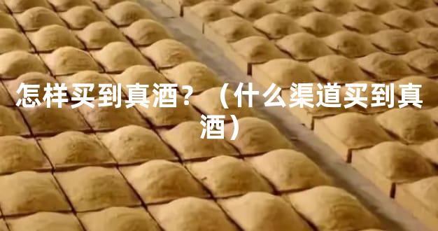 怎样买到真酒？（什么渠道买到真酒）