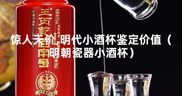 惊人天价,明代小酒杯鉴定价值（明朝瓷器小酒杯）