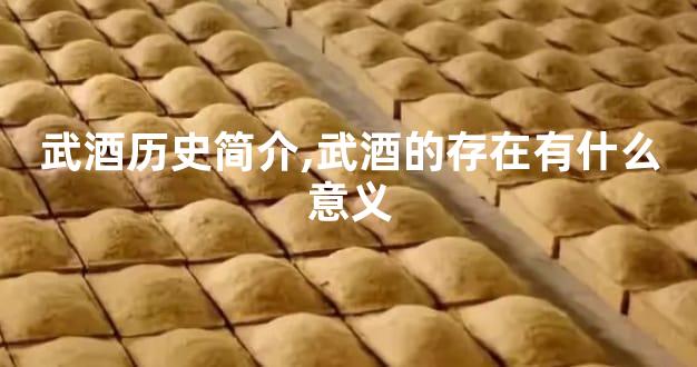 武酒历史简介,武酒的存在有什么意义