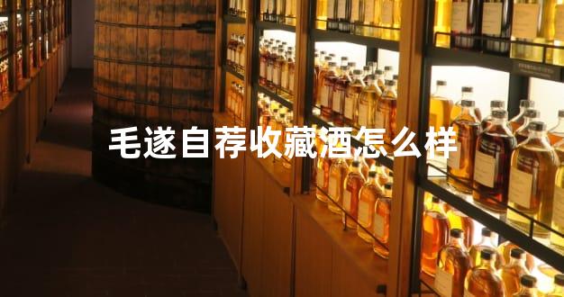 毛遂自荐收藏酒怎么样