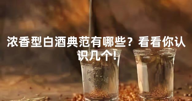 浓香型白酒典范有哪些？看看你认识几个!