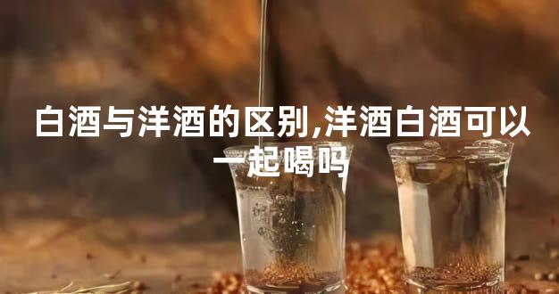 白酒与洋酒的区别,洋酒白酒可以一起喝吗