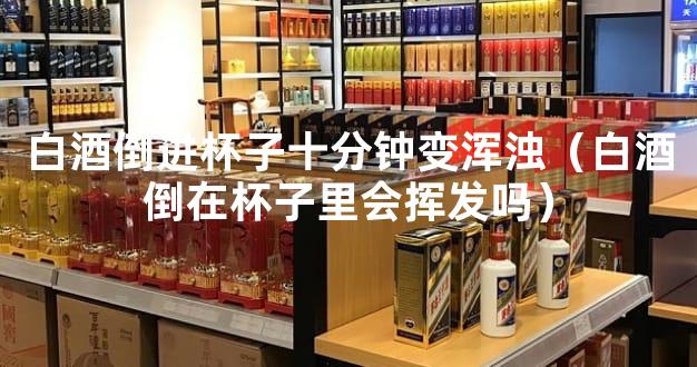白酒倒进杯子十分钟变浑浊（白酒倒在杯子里会挥发吗）