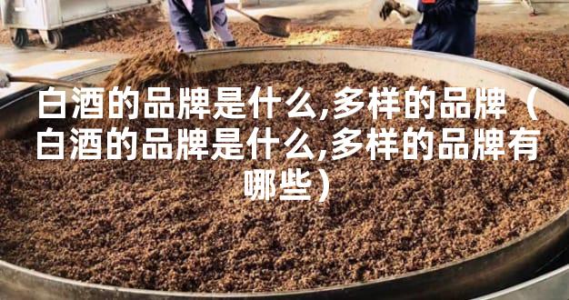白酒的品牌是什么,多样的品牌（白酒的品牌是什么,多样的品牌有哪些）