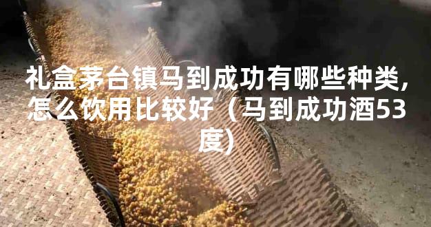 礼盒茅台镇马到成功有哪些种类,怎么饮用比较好（马到成功酒53度)