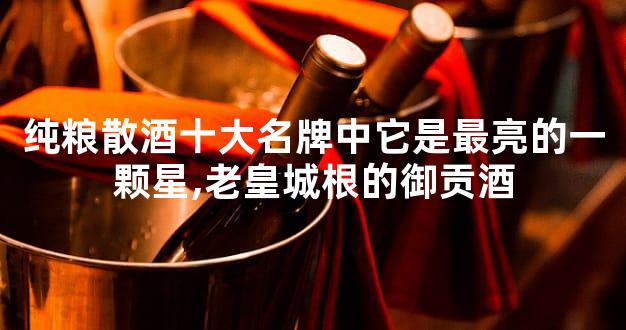 纯粮散酒十大名牌中它是最亮的一颗星,老皇城根的御贡酒