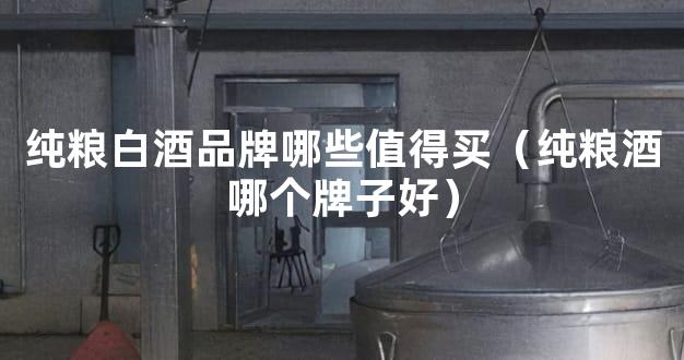纯粮白酒品牌哪些值得买（纯粮酒哪个牌子好）