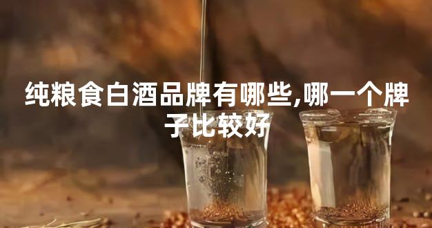 纯粮食白酒品牌有哪些,哪一个牌子比较好