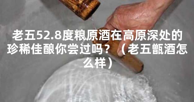 老五52.8度粮原酒在高原深处的珍稀佳酿你尝过吗？（老五甑酒怎么样）