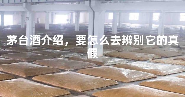 茅台酒介绍，要怎么去辨别它的真假
