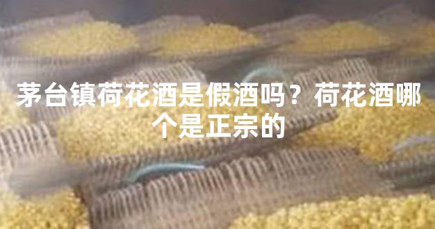 茅台镇荷花酒是假酒吗？荷花酒哪个是正宗的