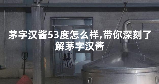茅字汉酱53度怎么样,带你深刻了解茅字汉酱
