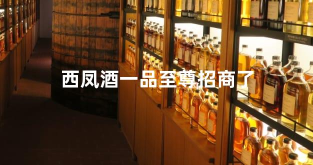西凤酒一品至尊招商了