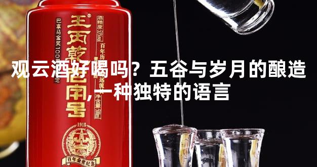 观云酒好喝吗？五谷与岁月的酿造,一种独特的语言