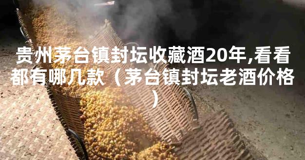 贵州茅台镇封坛收藏酒20年,看看都有哪几款（茅台镇封坛老酒价格）