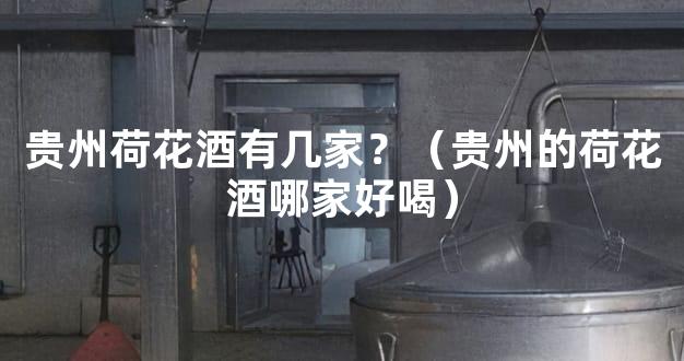 贵州荷花酒有几家？（贵州的荷花酒哪家好喝）