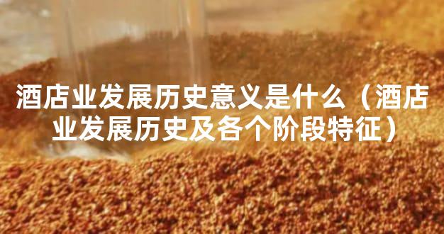 酒店业发展历史意义是什么（酒店业发展历史及各个阶段特征）