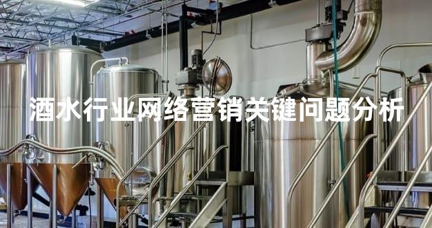 酒水行业网络营销关键问题分析