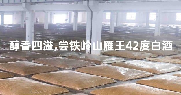 醇香四溢,尝铁岭山雁王42度白酒