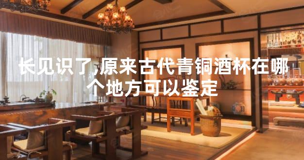长见识了,原来古代青铜酒杯在哪个地方可以鉴定